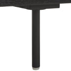 Meuble TV Anahi à 2 portes et 2 étagères - 54L x 17P x 19H